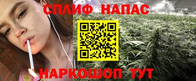 Альфа ПВП Кингисепп