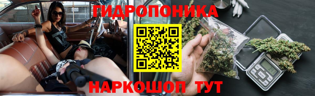 Чайковский  Каннабис семена  Вход с VPN  Каннабис MAZAR  Марихуана LSD WEED  Каннабис марихуана 